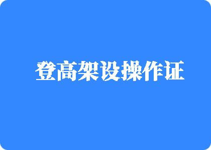 看看超逼登高架设操作证